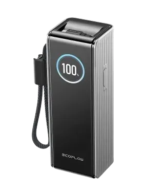 Павербанк EcoFlow RAPID Power Bank з кабелями 25000mAh сріблястий